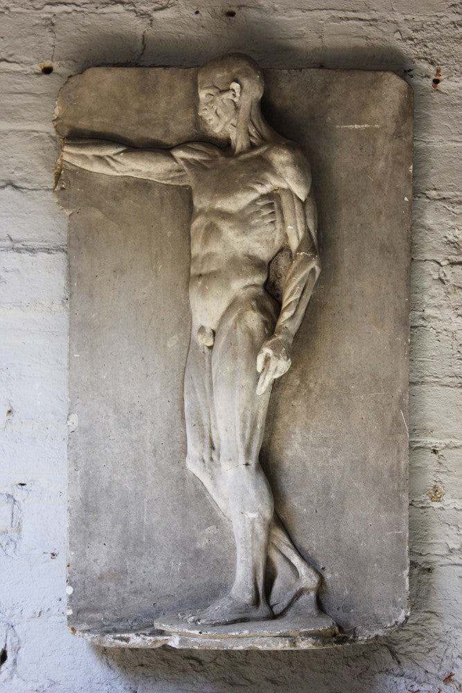 A Good Early 20thC Plaster Écorché Anatomical Figural Plaque of a Male
