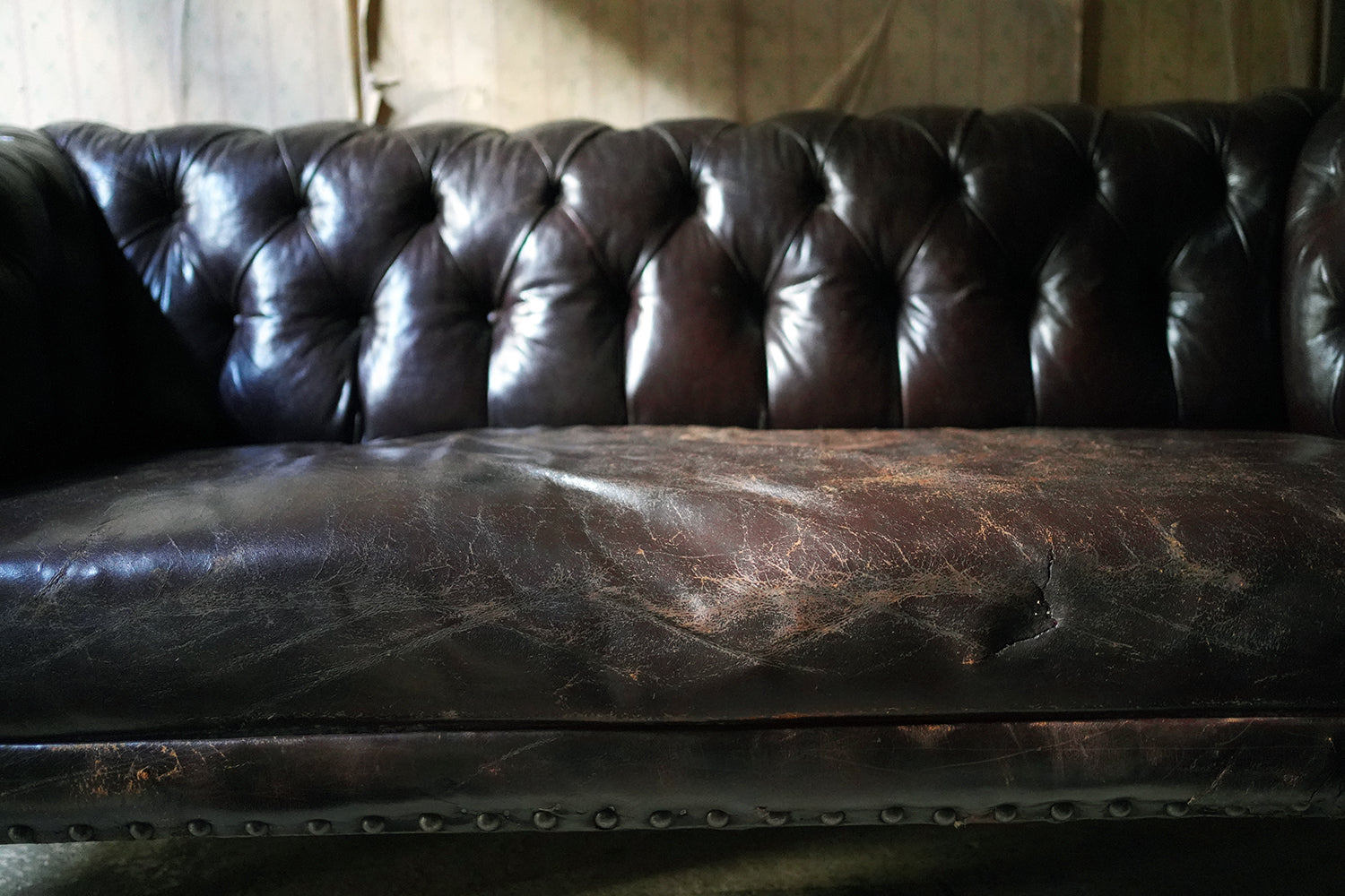 A Good Edwardian Button-Back Leather Upholstered Chesterfield Sofa c.1900