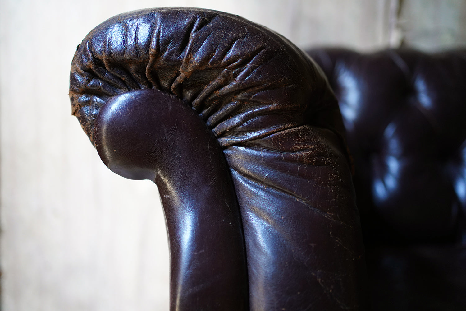 A Good Edwardian Button-Back Leather Upholstered Chesterfield Sofa c.1900