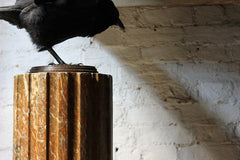 A Decorative Faux Sienna Marble Plaster Column c.1890