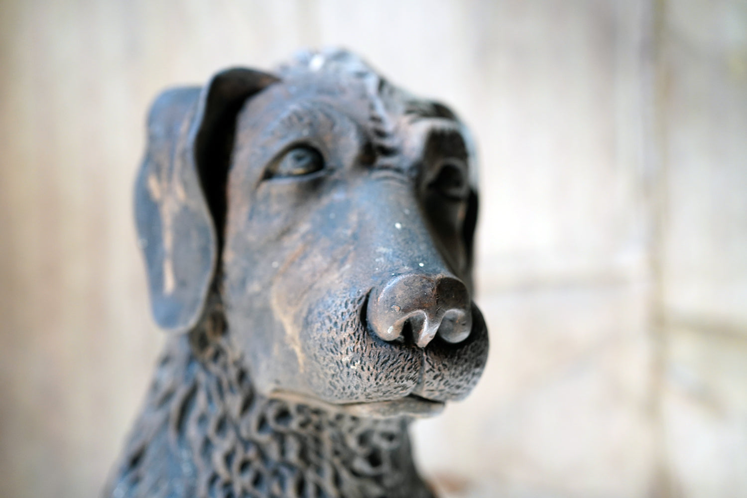 A French Animalier Bronzed Terracotta Sculpture of a Dog c.1900