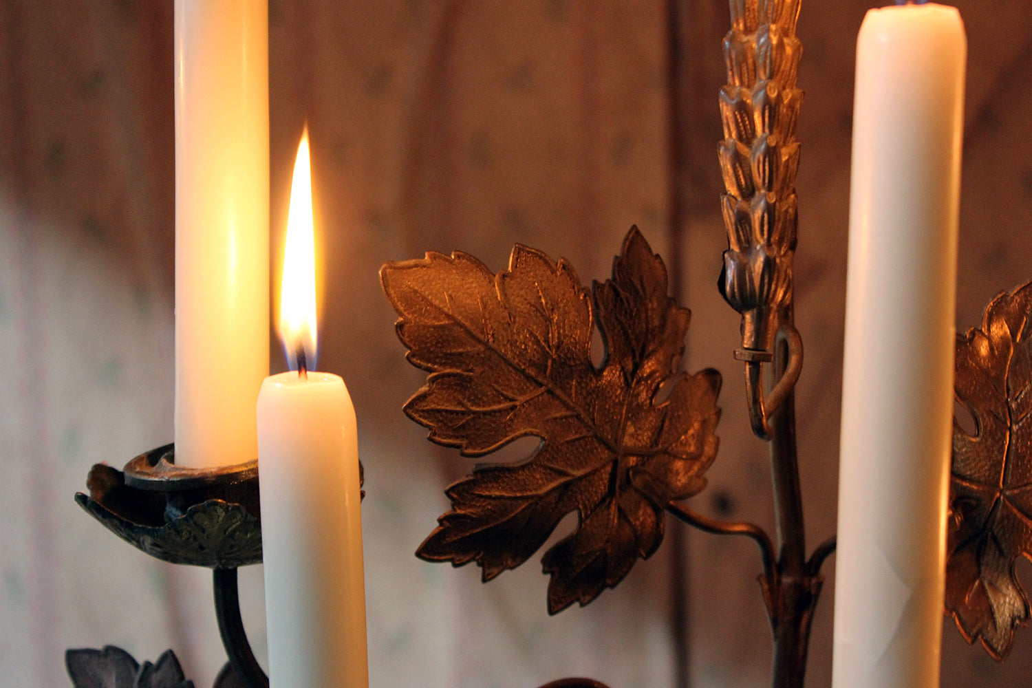 A Beautiful Large Late 19thC Naturalistic Gilt Metal Eight Sconce Candelabra c.1890