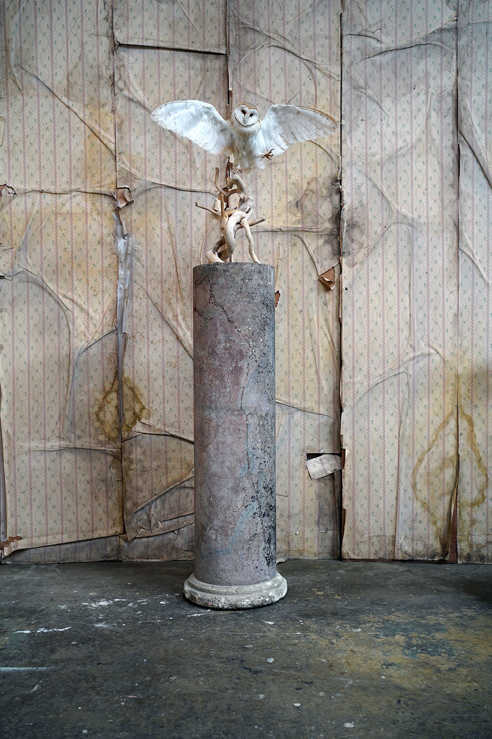 A Fine & Large Siena Pink Marble Column c.1870