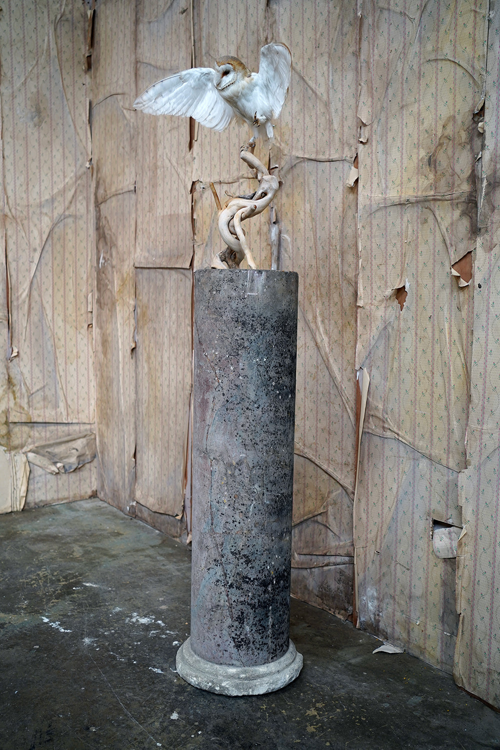 A Fine & Large Siena Pink Marble Column c.1870