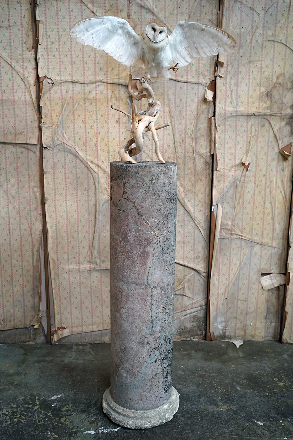 A Fine & Large Siena Pink Marble Column c.1870