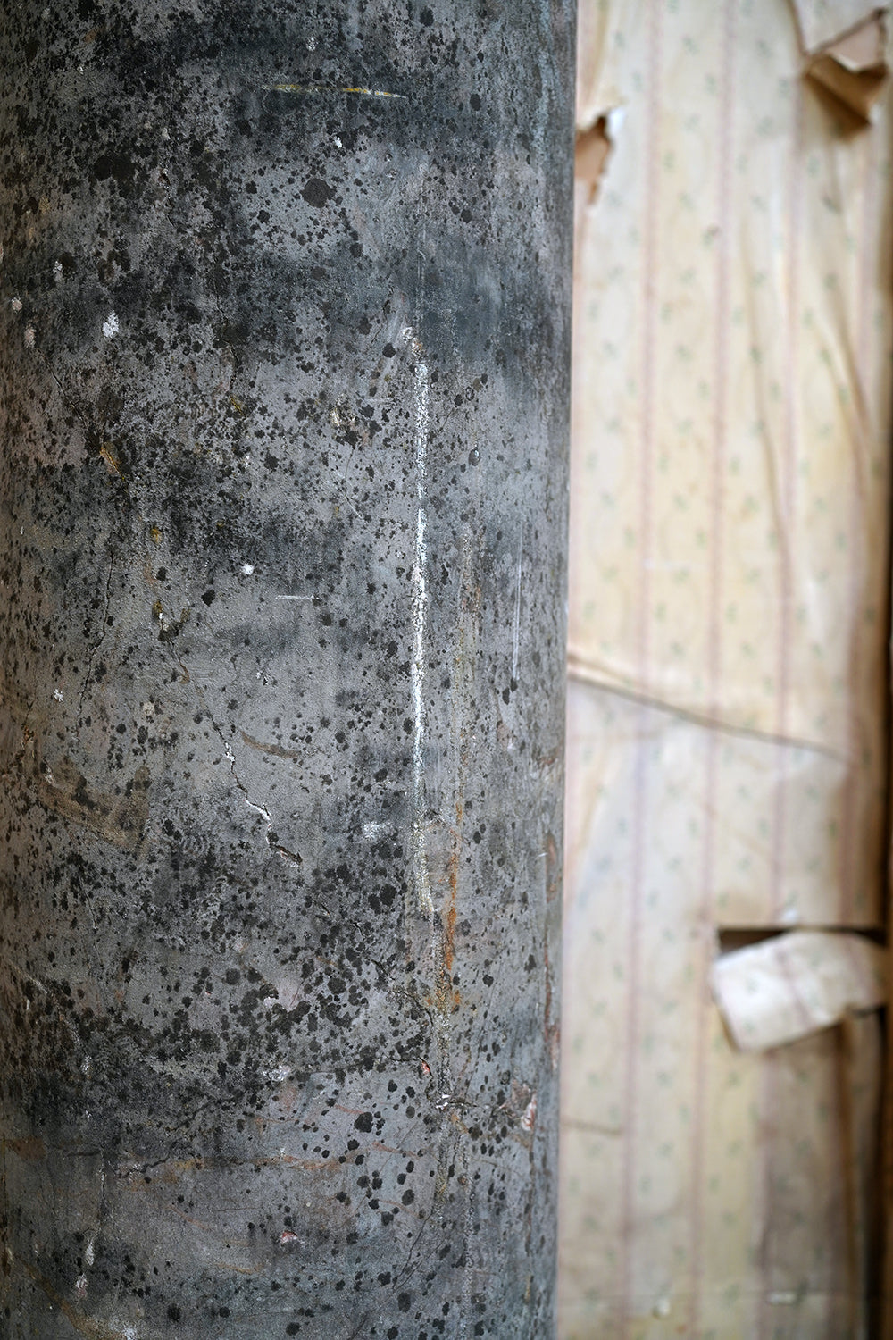 A Fine & Large Siena Pink Marble Column c.1870