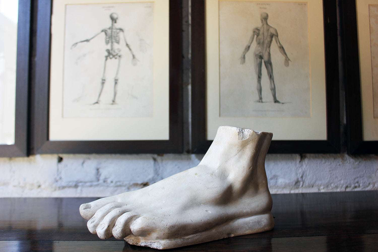 A Good Early 20thC Neoclassical Style Grand Tour Plaster Model of a Foot