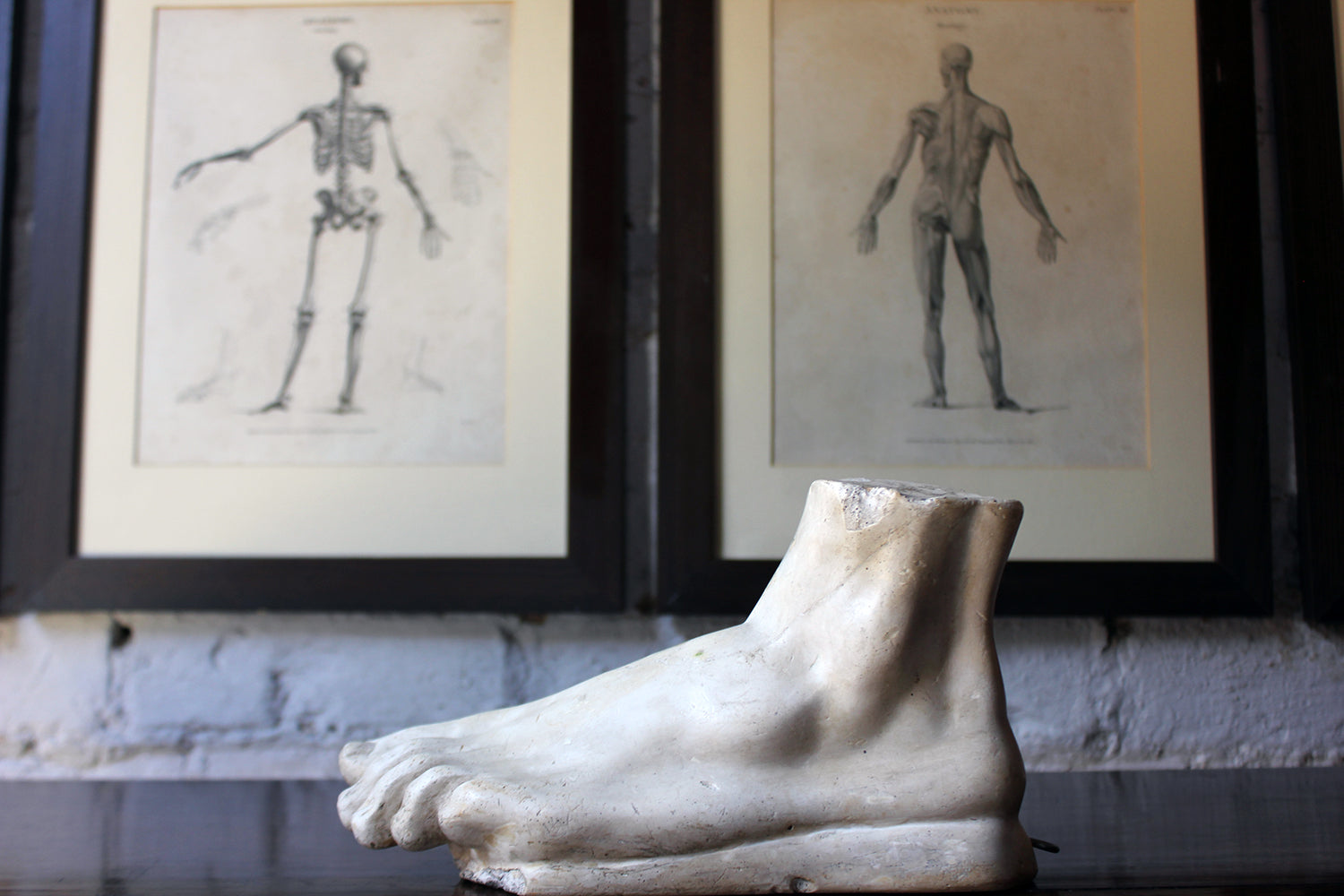 A Good Early 20thC Neoclassical Style Grand Tour Plaster Model of a Foot
