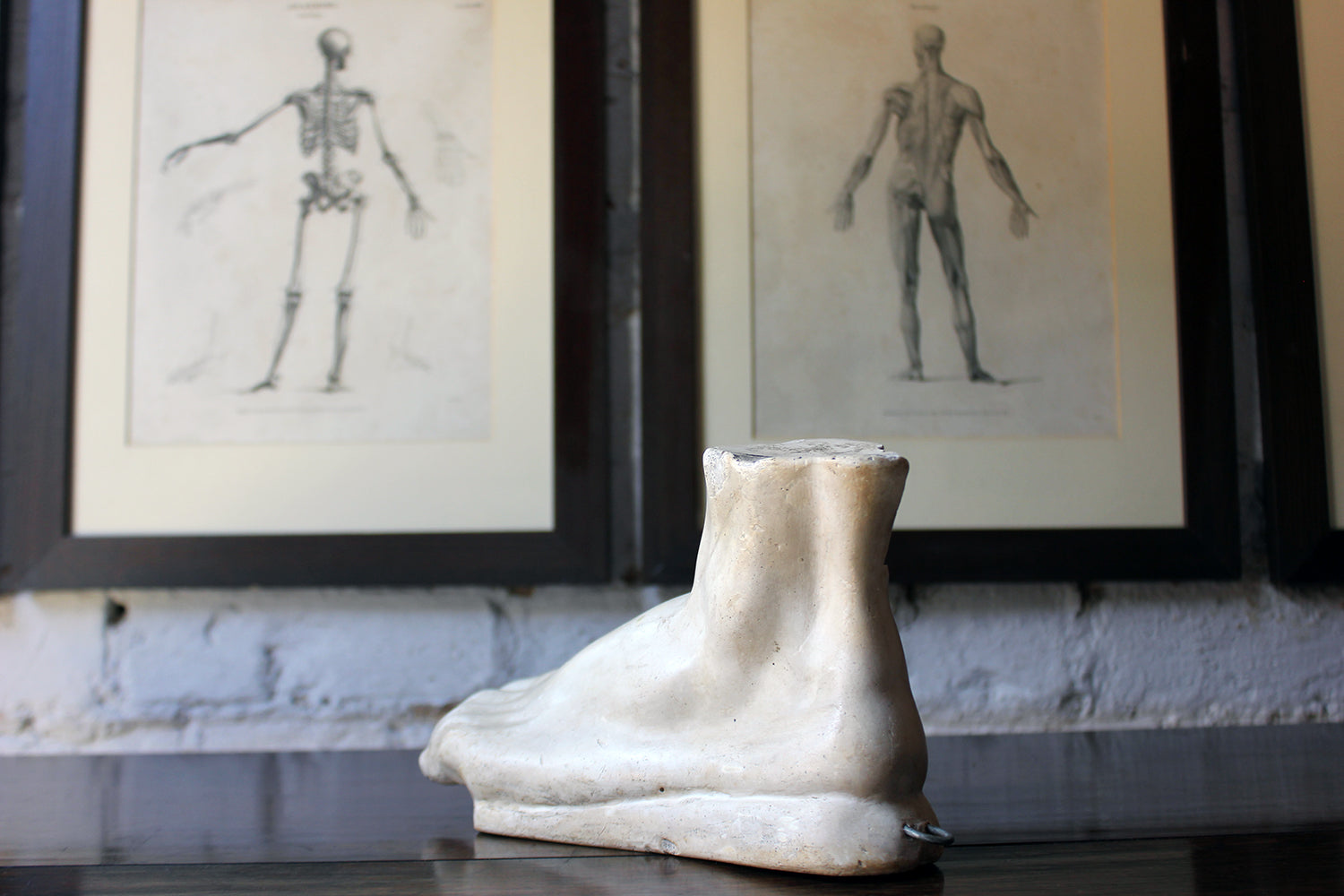 A Good Early 20thC Neoclassical Style Grand Tour Plaster Model of a Foot