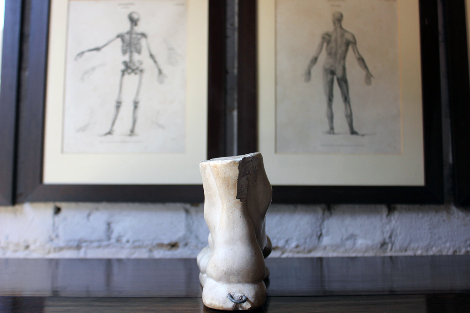A Good Early 20thC Neoclassical Style Grand Tour Plaster Model of a Foot