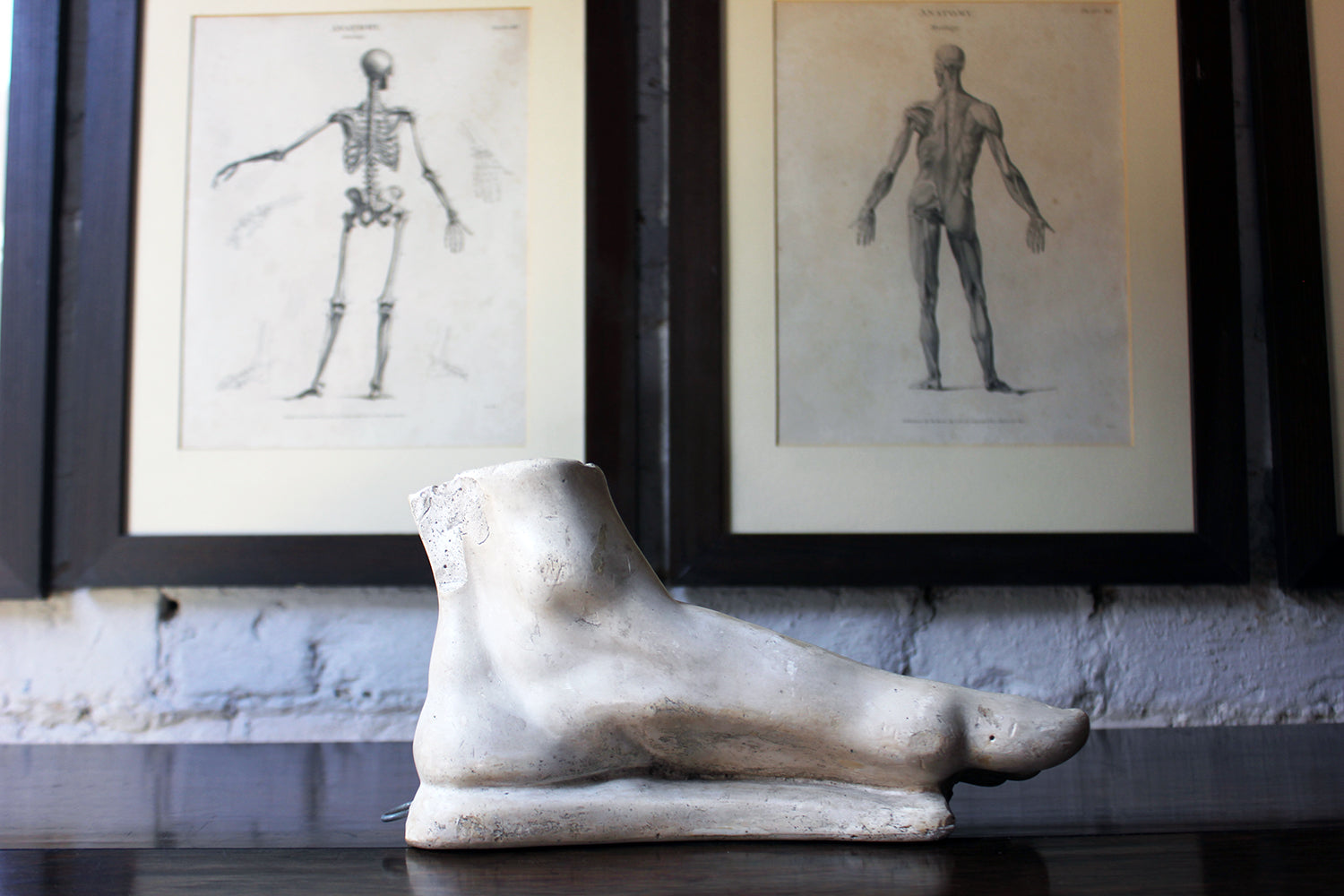 A Good Early 20thC Neoclassical Style Grand Tour Plaster Model of a Foot