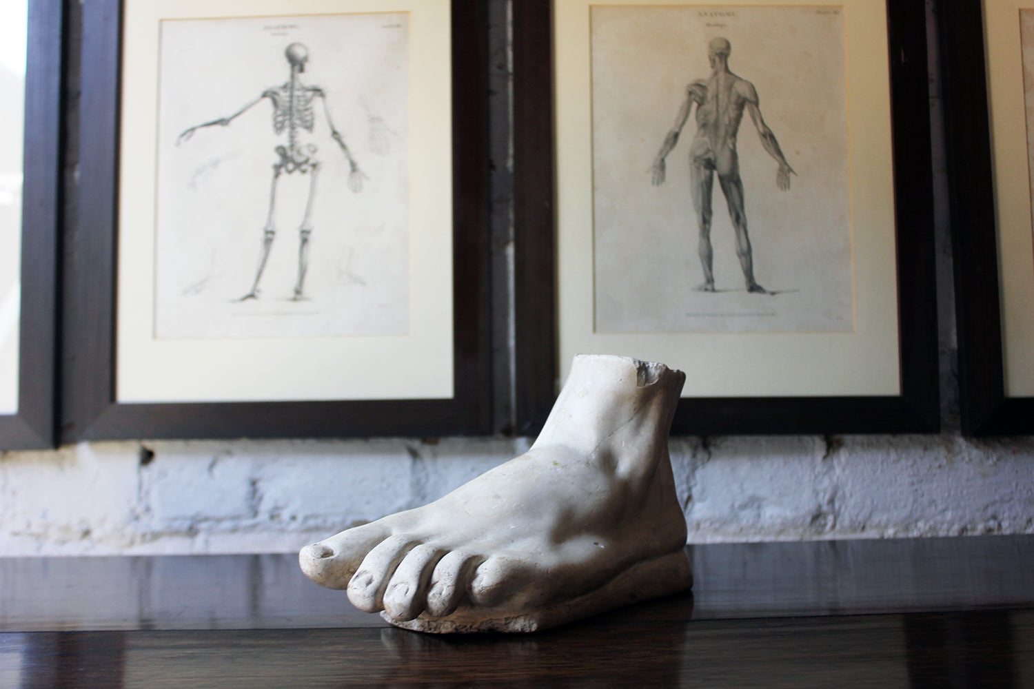 A Good Early 20thC Neoclassical Style Grand Tour Plaster Model of a Foot