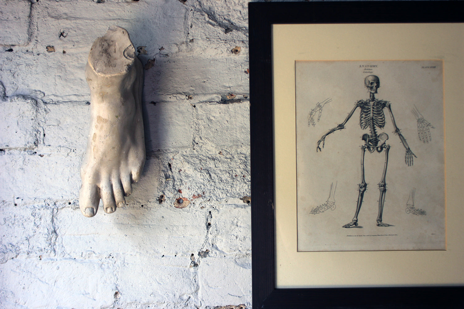 A Good Early 20thC Neoclassical Style Grand Tour Plaster Model of a Foot