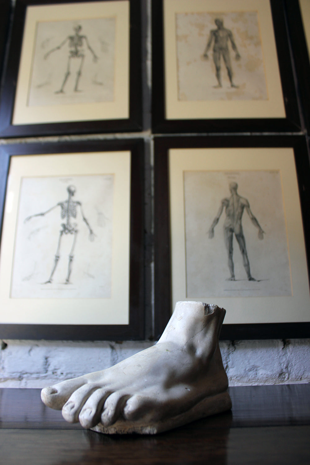 A Good Early 20thC Neoclassical Style Grand Tour Plaster Model of a Foot
