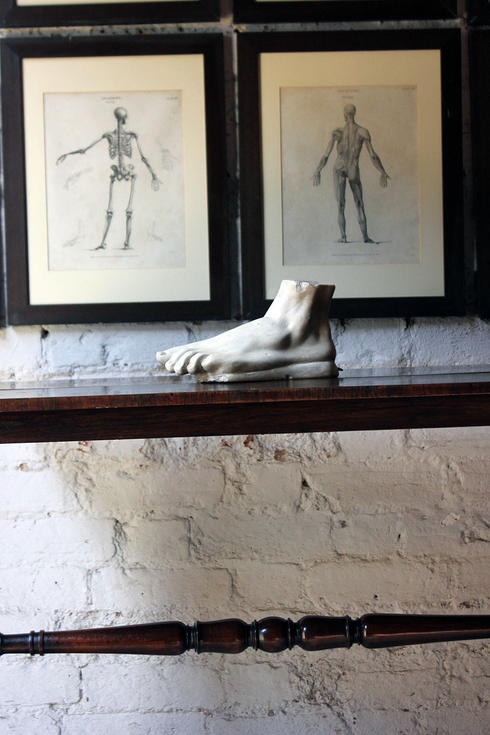 A Good Early 20thC Neoclassical Style Grand Tour Plaster Model of a Foot