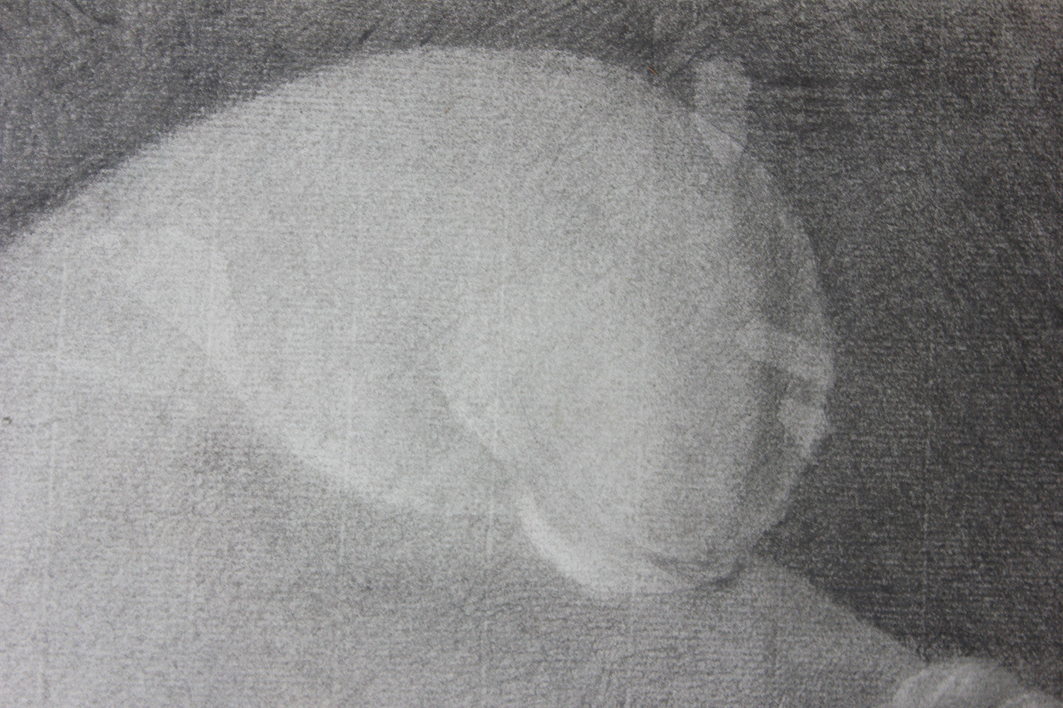 A Fine Late 18thC Italian School Grand Tour Charcoal Study of Ganymede; Naples; 1797
