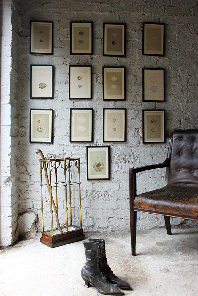 A Decorative Group of Thirteen Framed & Hand-Coloured Lithographs & Woodblock Prints of British Birds' Eggs c.1842-56