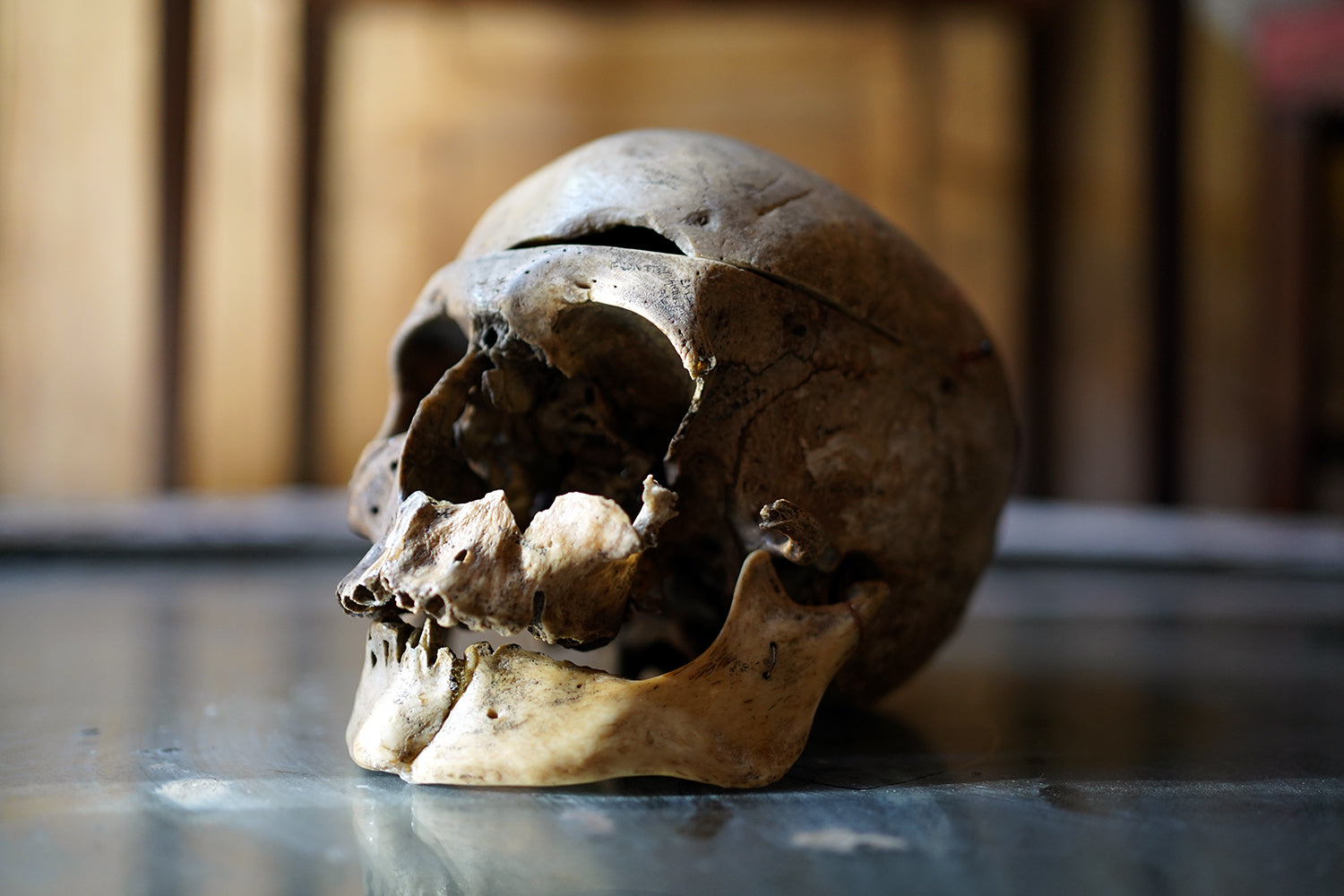 A 19thC Human Skull Inscribed for Phrenological Demonstration