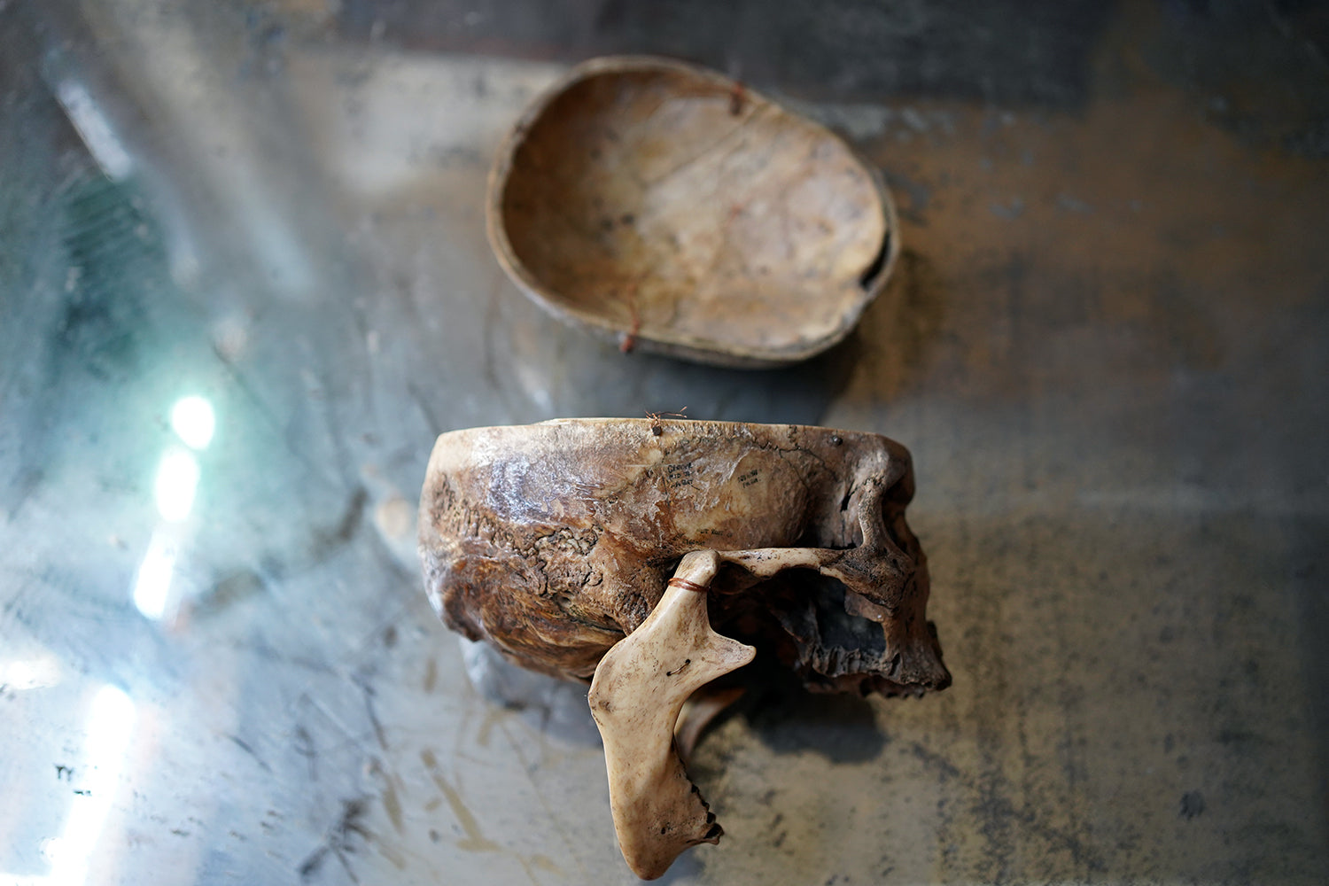 A 19thC Human Skull Inscribed for Phrenological Demonstration
