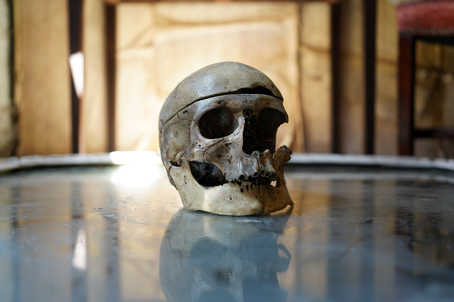 A 19thC Human Skull Inscribed for Phrenological Demonstration