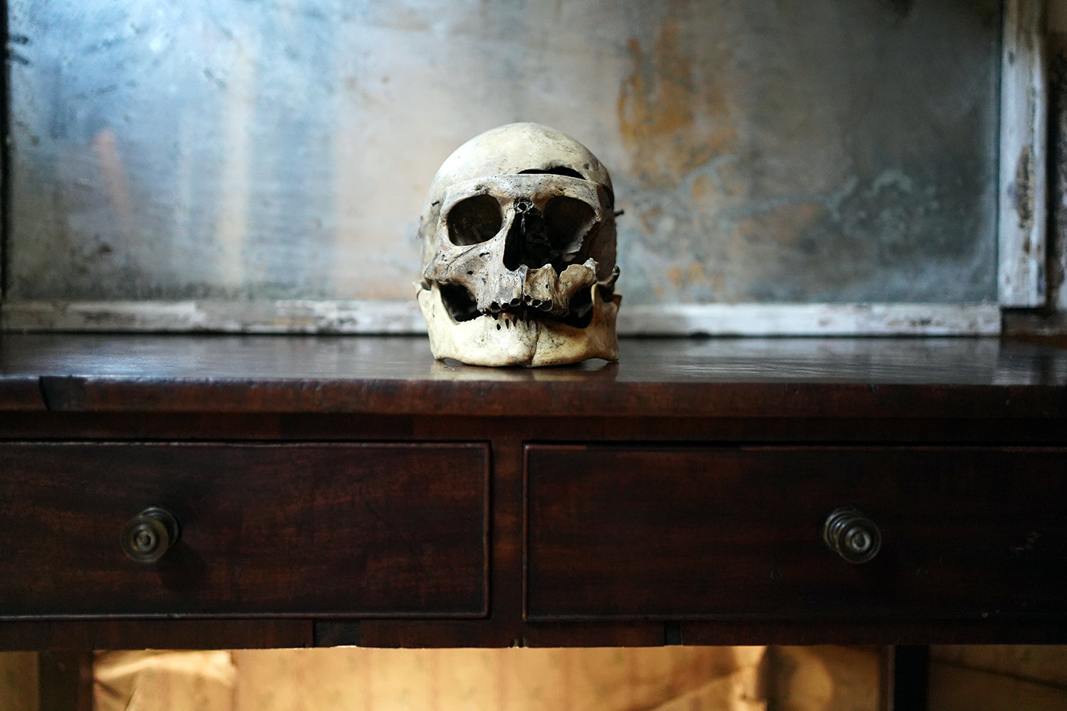 A 19thC Human Skull Inscribed for Phrenological Demonstration