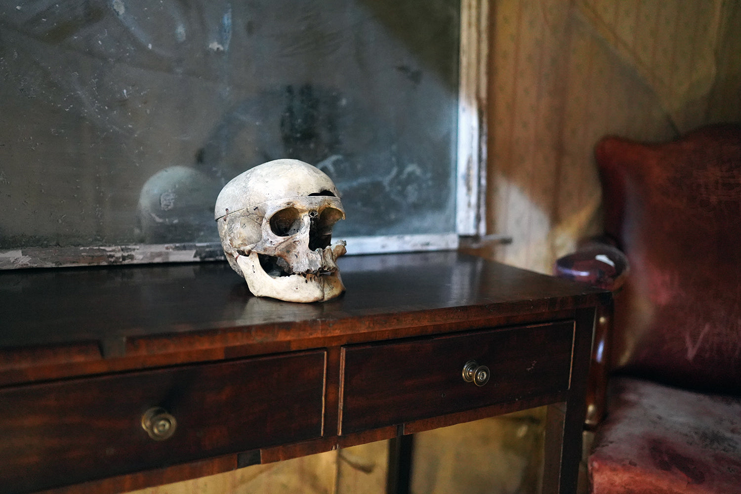 A 19thC Human Skull Inscribed for Phrenological Demonstration
