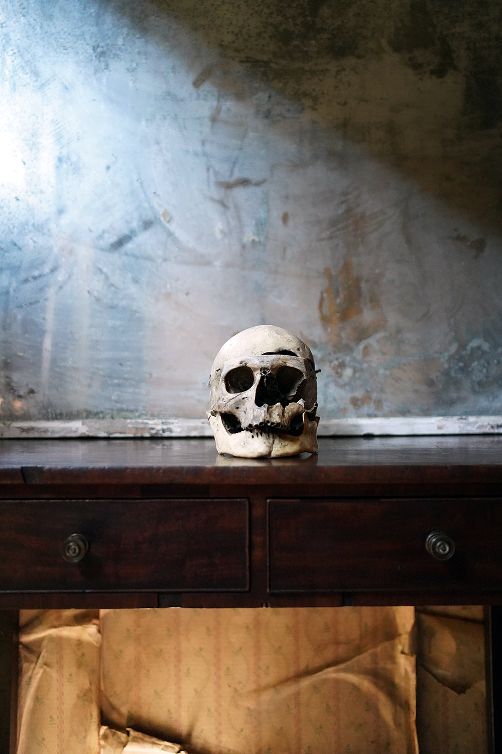 A 19thC Human Skull Inscribed for Phrenological Demonstration