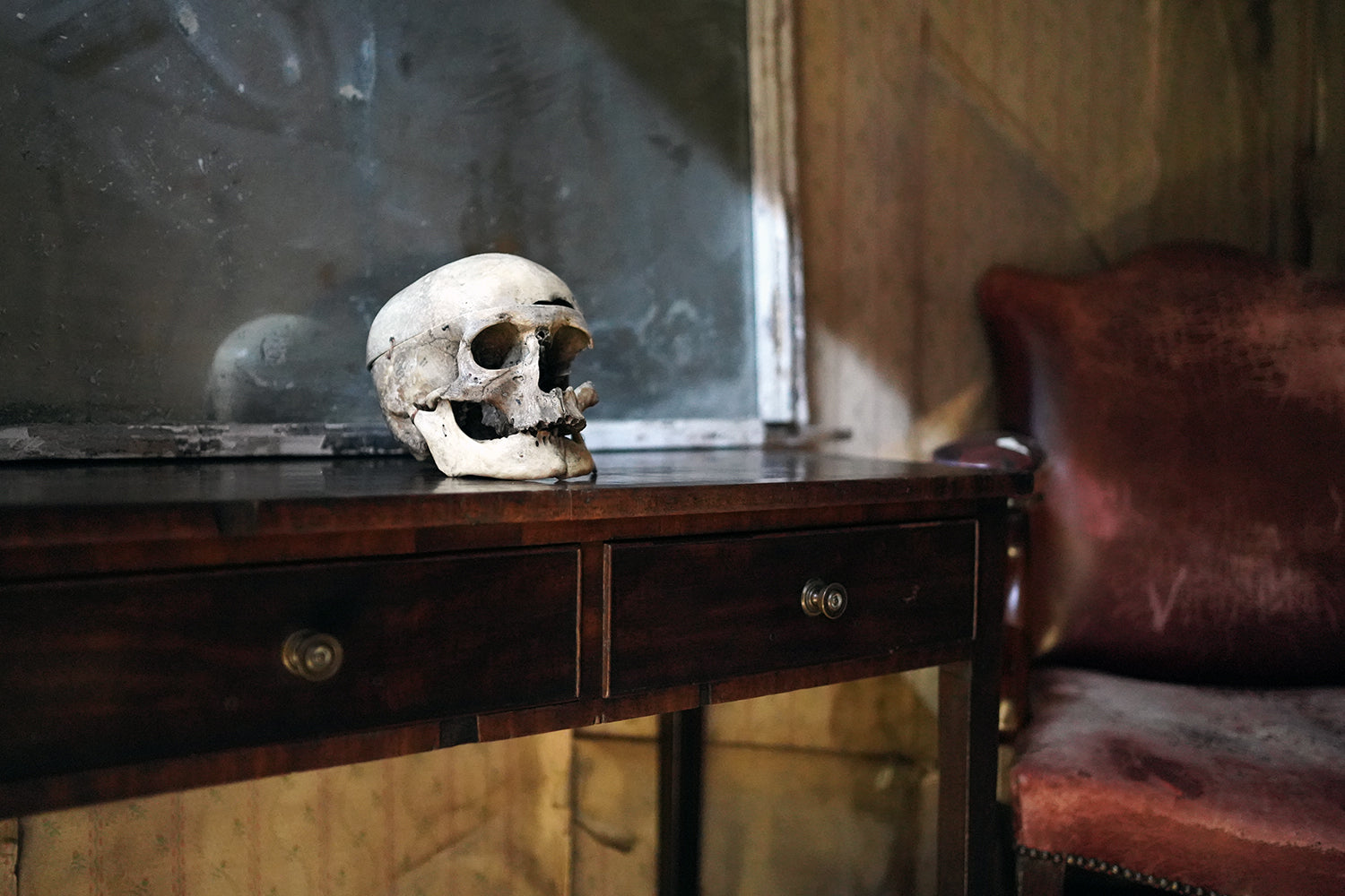 A 19thC Human Skull Inscribed for Phrenological Demonstration