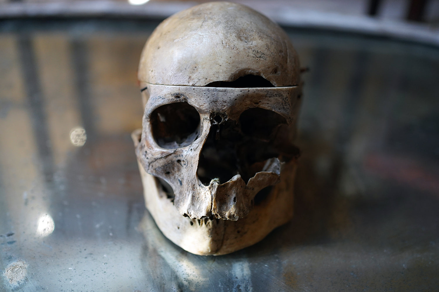 A 19thC Human Skull Inscribed for Phrenological Demonstration