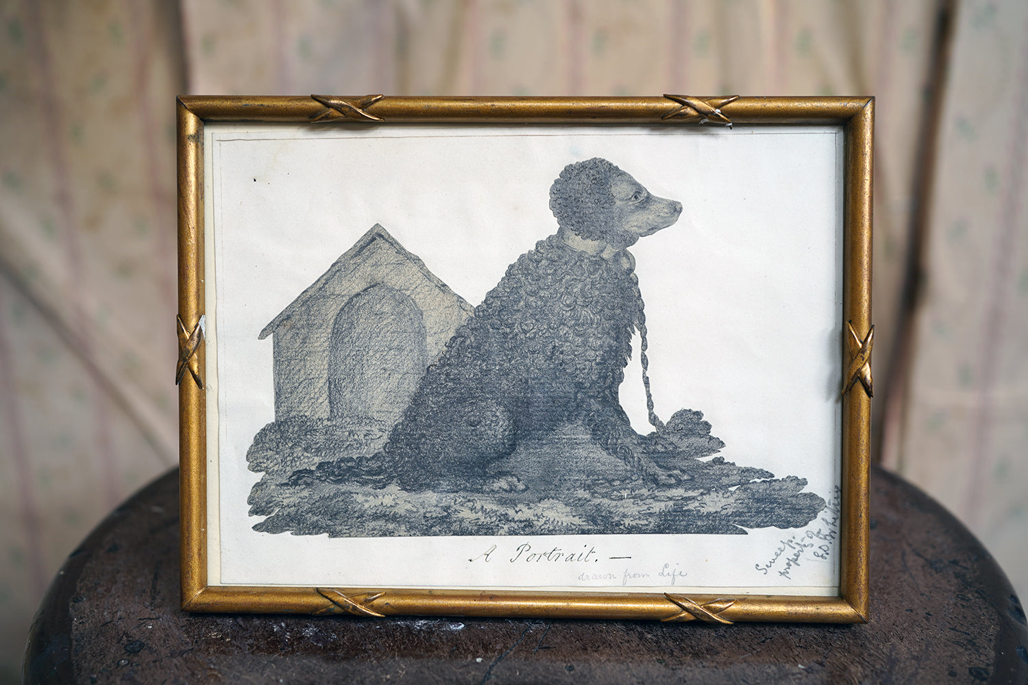 A 19thC Cut-Out Pencil & Ink Study of an Irish Water Dog; 'Sweep'