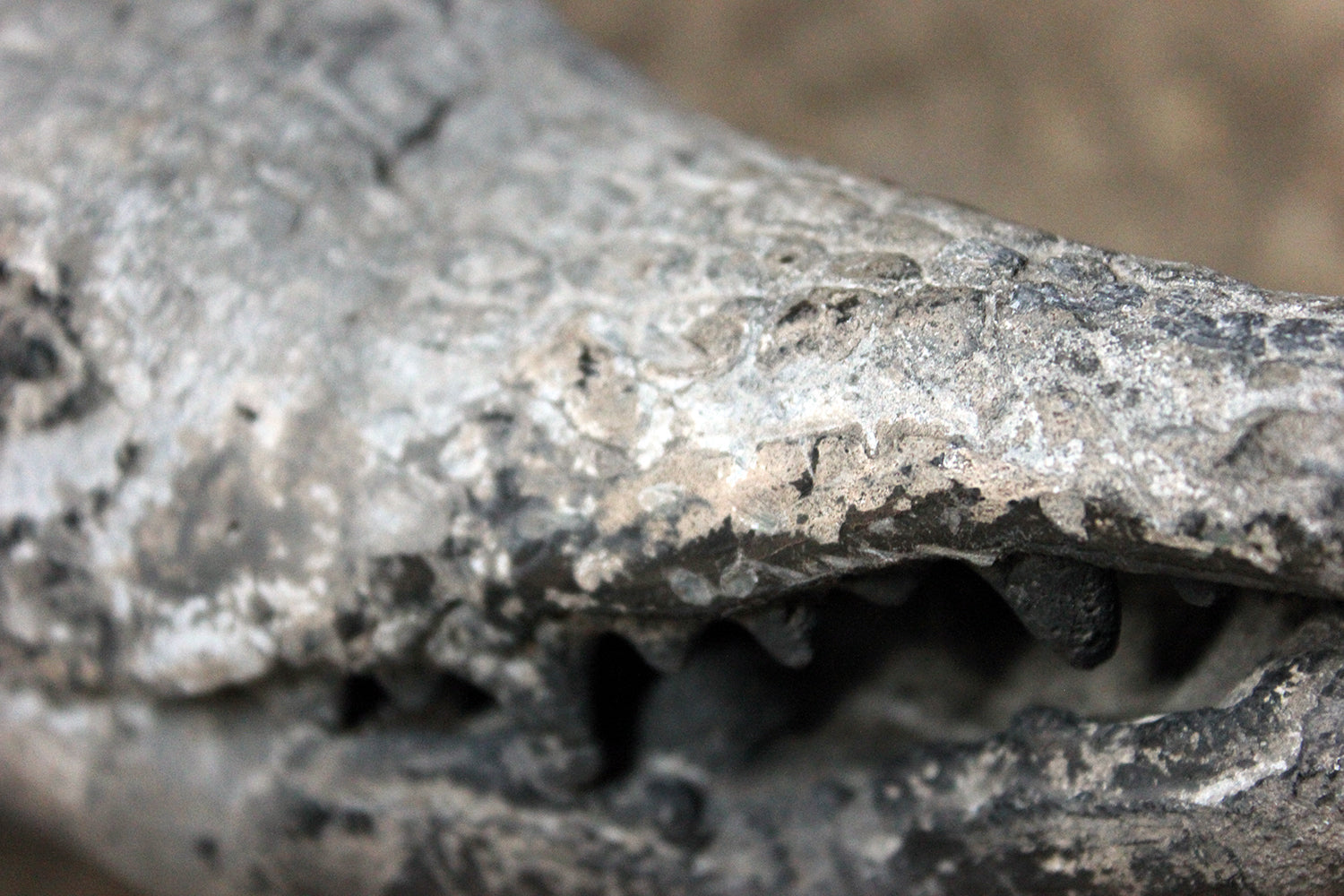 A Charming Early to Mid 20thC Lead Sculpture of a Crocodile
