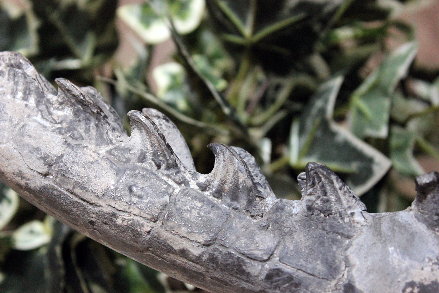 A Charming Early to Mid 20thC Lead Sculpture of a Crocodile