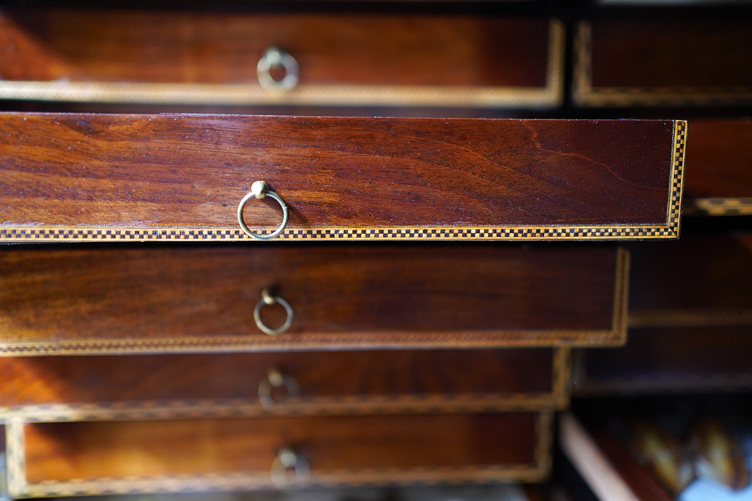 A Fine 24-Drawer Mahogany, Oak & Parquetry Inlaid Lepidopterist's Collector Cabinet c.1870