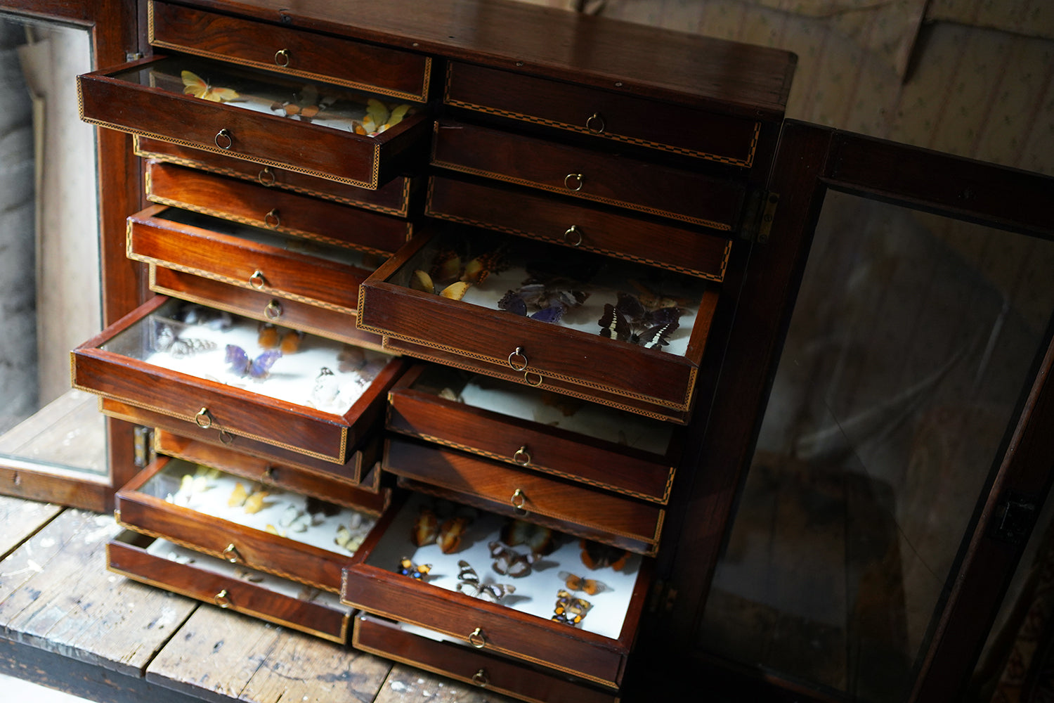 A Fine 24-Drawer Mahogany, Oak & Parquetry Inlaid Lepidopterist's Collector Cabinet c.1870