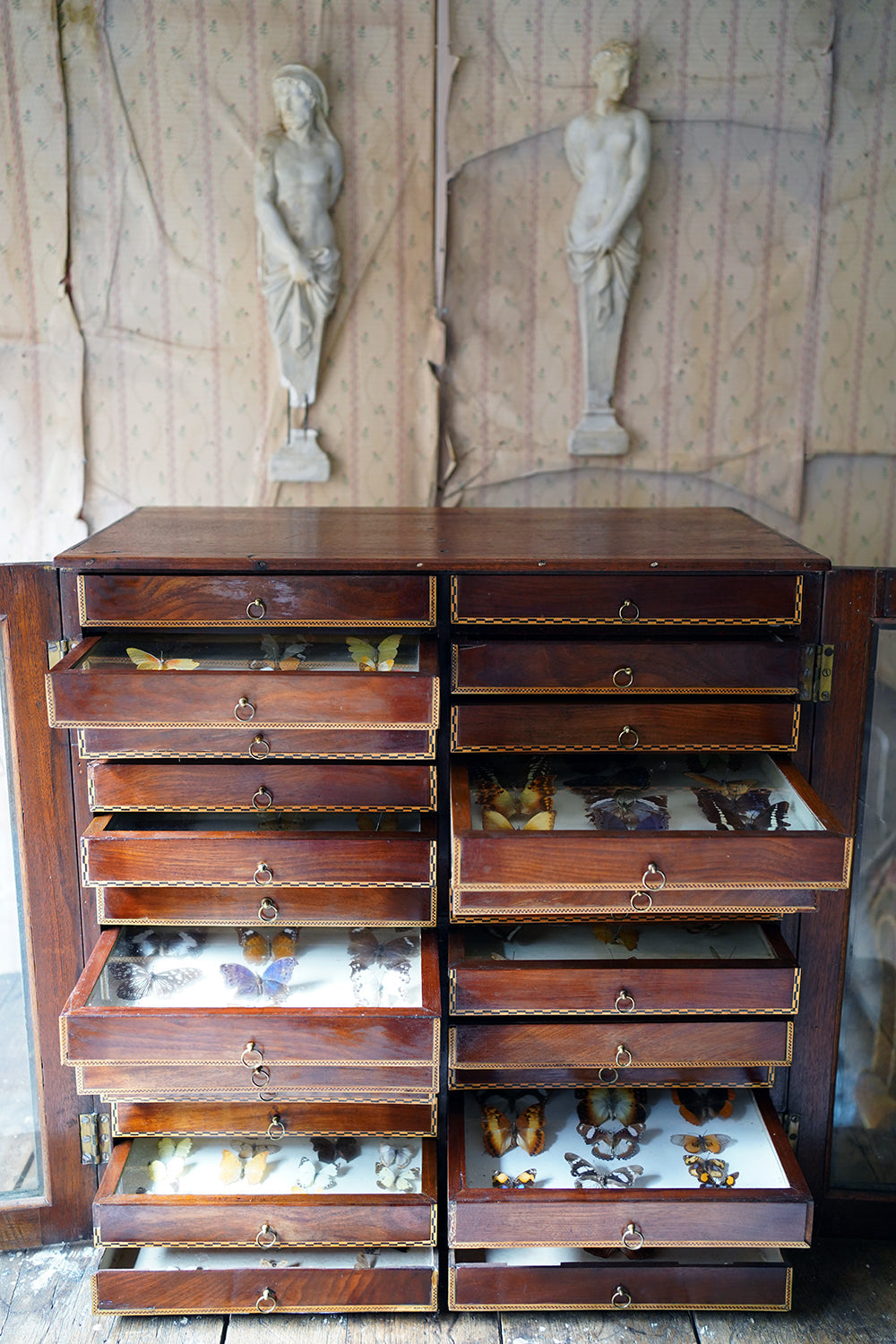A Fine 24-Drawer Mahogany, Oak & Parquetry Inlaid Lepidopterist's Collector Cabinet c.1870