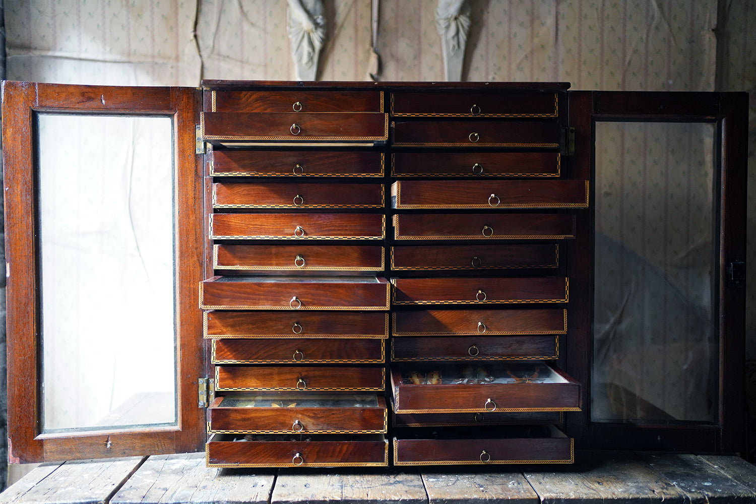A Fine 24-Drawer Mahogany, Oak & Parquetry Inlaid Lepidopterist's Collector Cabinet c.1870