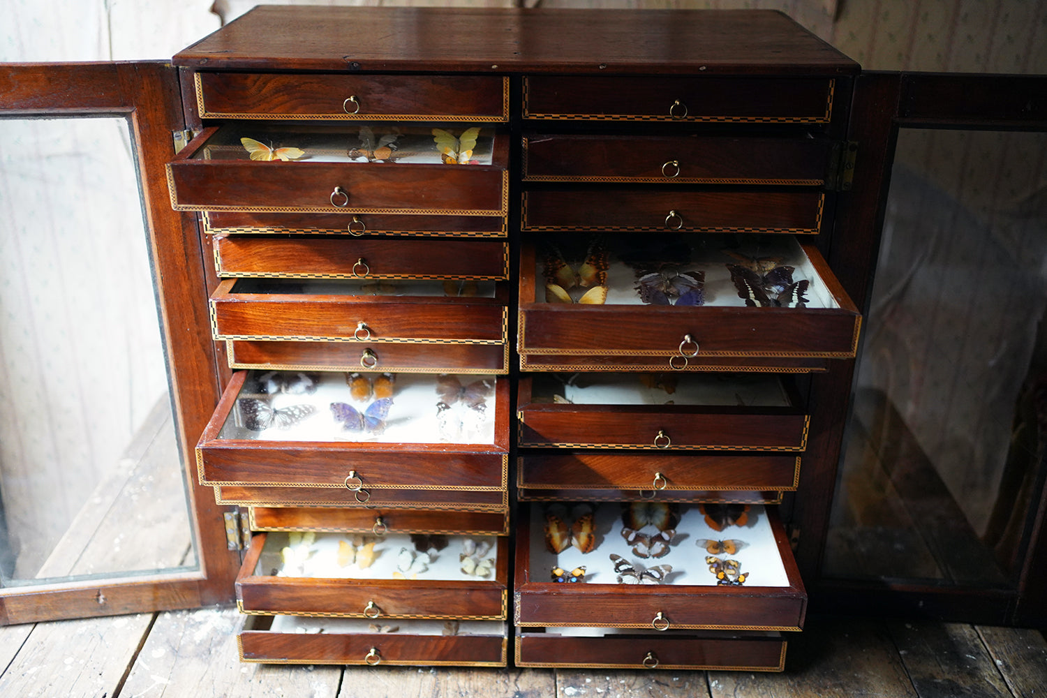 A Fine 24-Drawer Mahogany, Oak & Parquetry Inlaid Lepidopterist's Collector Cabinet c.1870