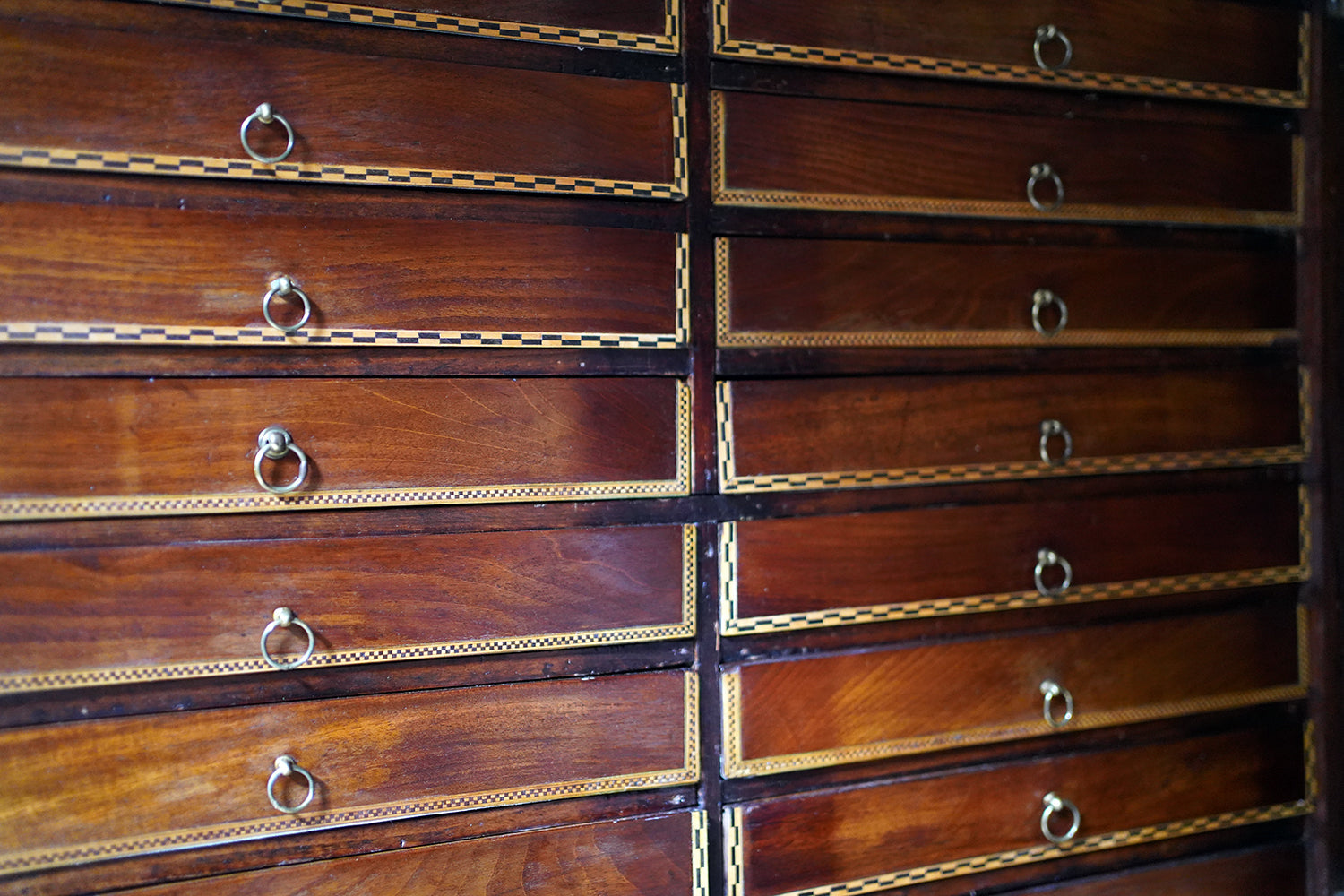 A Fine 24-Drawer Mahogany, Oak & Parquetry Inlaid Lepidopterist's Collector Cabinet c.1870