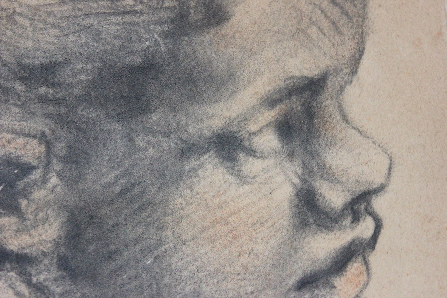 A French School Engraving by Alphonse Leroy after Paolo Veronese; Head of a Black Boy c.1870
