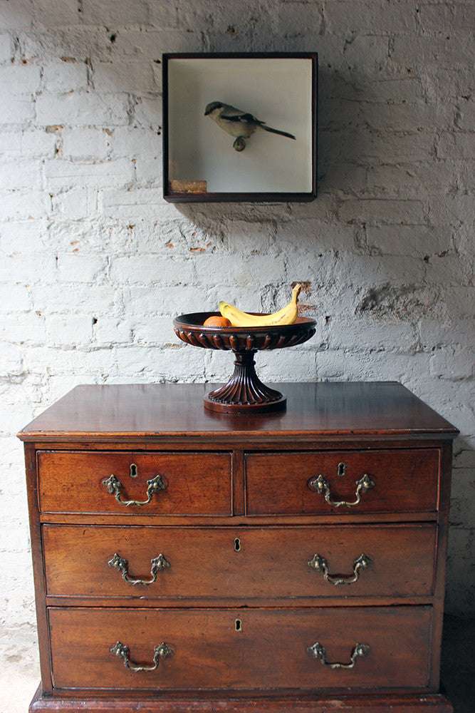 A Good George III Revival Mahogany Turned Tazza c.1910