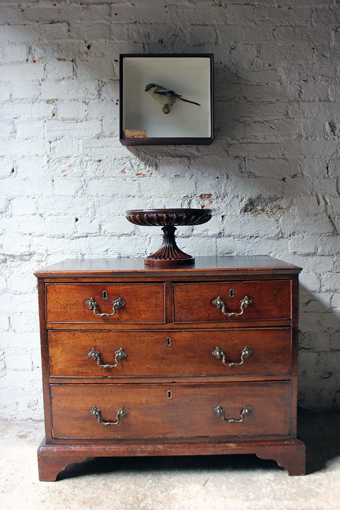A Good George III Revival Mahogany Turned Tazza c.1910