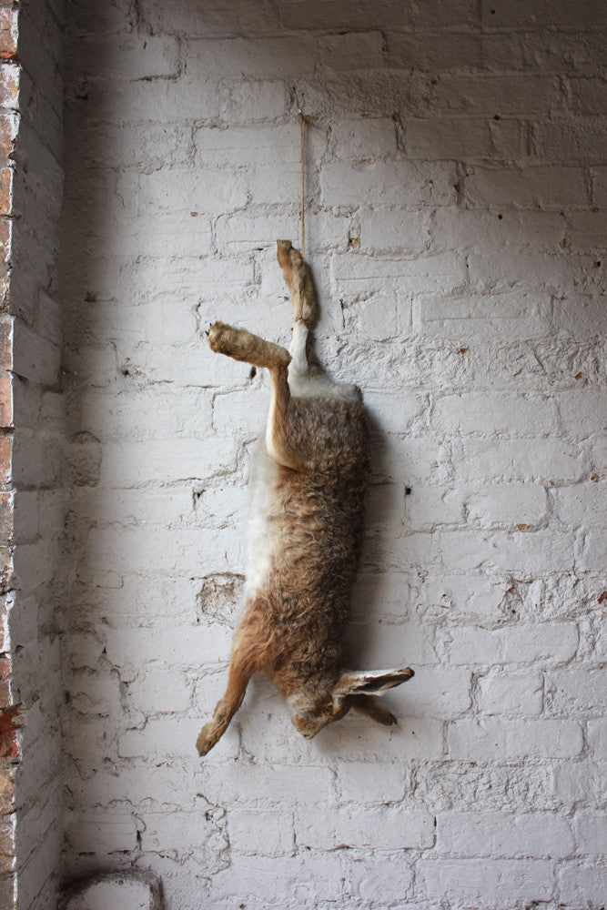 A Fine Contemporary Taxidermy Hare, Hung as Dead Game