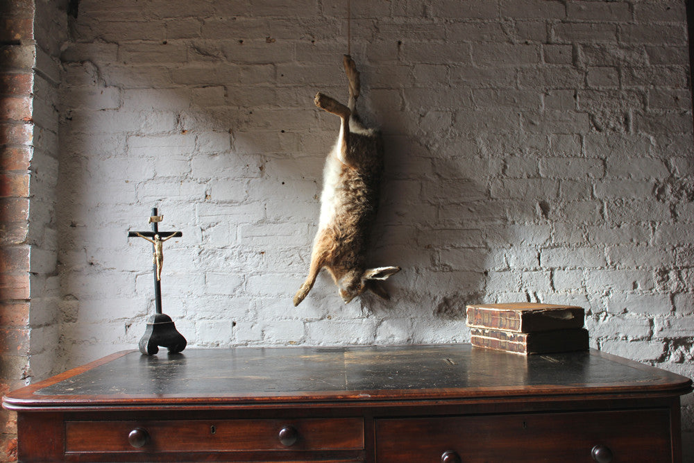 A Fine Contemporary Taxidermy Hare, Hung as Dead Game