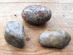 A Fine Group of Three Polished Jurassic Period Globular Geological Dinosaur Coprolites