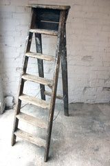A Good Early 20thC Pine Step Ladder