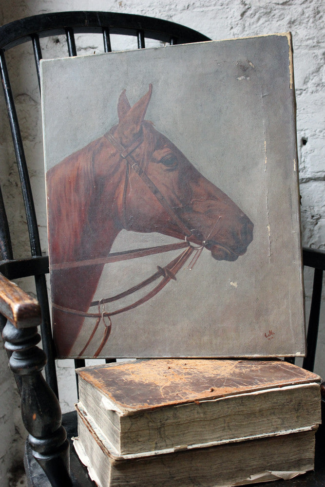 A Good Oil on Canvas Study of a Horse's Head, Dated 1912