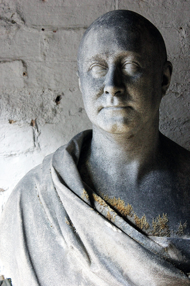 A Fine Quality c.1900 Marble Bust of a Gentleman Draped as a Roman Nobleman from Cairness House