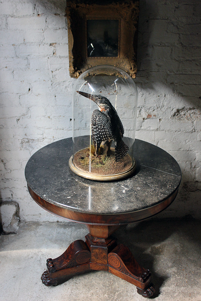 A Good French Louis Philippe Period Fossilised Marble & Flame Mahogany Guéridon c.1835