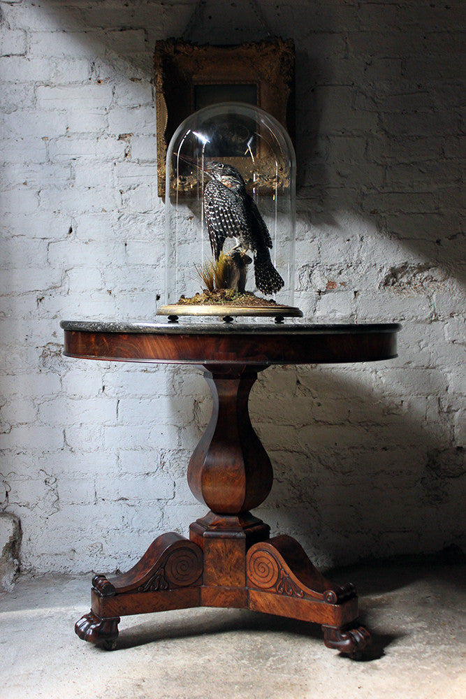 A Good French Louis Philippe Period Fossilised Marble & Flame Mahogany Guéridon c.1835