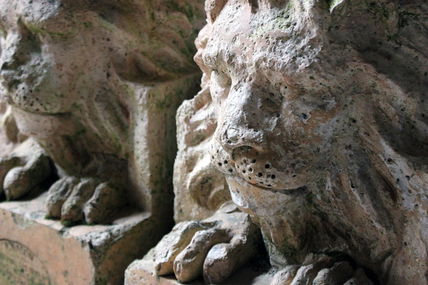 A Good Pair of c.1900 Terracotta Lions by Adam Mason & Sons of Horwich, Lancashire